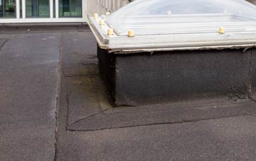 disadvantages of Ardminish flat roofs